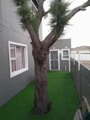 a tree in the middle of a house with green grass at Brooklyn Queens and Kings Guesthouse in Cape Town