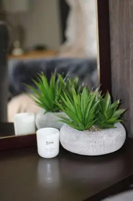 two plants in a vase sitting on a table at Charming Modern Bedsitter in Cape Town