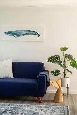 a blue couch in a living room with a plant at Coastal Living in Hermanus