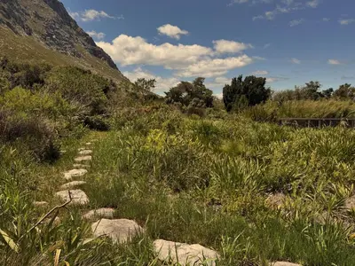 a path in a field with grass and rocks at Cozy House & Studio with Sea and Mountain Views in Bettyʼs Bay
