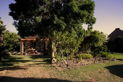 a tree in the yard of a house at Cozy House & Studio with Sea and Mountain Views in Bettyʼs Bay