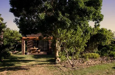 a house with a picnic table under a tree at Fynbos Cottage with Sea View - Self-catering in Bettyʼs Bay