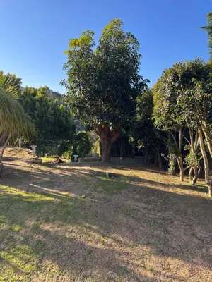 a park with trees and a grass field at B Shocked Manor - Lux Suites in Cape Town