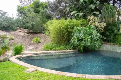a small swimming pool in a yard with plants at Mountain View and Vineyard View in Suider-Paarl