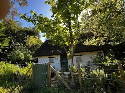 a small white house with a tree and a fence at Mouse House Greyton - tiny home living in Greyton