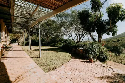 a brick walkway leading to a patio with plants at little villa in the vineyard in Stellenbosch