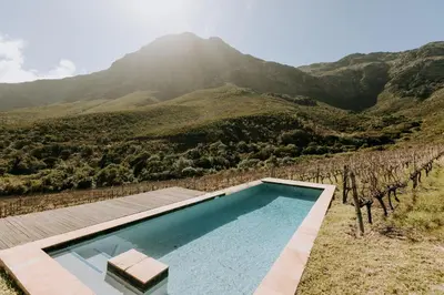a swimming pool in front of a vineyard with a mountain at little villa in the vineyard in Stellenbosch