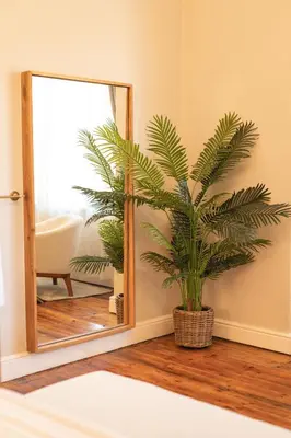 a potted plant sitting in front of a mirror at The View Guesthouse & Cottage in Caledon