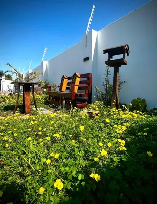 a field of yellow flowers in front of a building at Villa Rosa Luxury in Cape Town