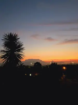 a silhouette of a palm tree at sunset at Die Regte Rede in Cape Town