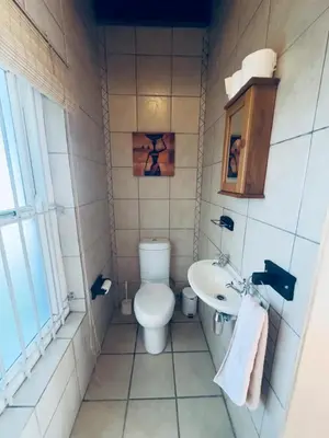 a small bathroom with a toilet and a sink at Guest Suite in Tuscan Farmhouse in Paarl