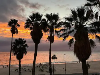 a group of palm trees on the beach at sunset at Elana Beachfront Condo in Strand