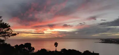 a sunset over a body of water with a palm tree at Gordon's Bay Sunset View in Cape Town