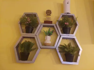 four shelves with potted plants on a yellow wall at KK Guesthouse in Cape Town