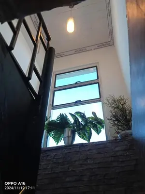 a window with a potted plant on the stairs at KK Guesthouse in Cape Town