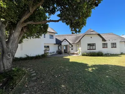 a white house with a tree in the yard at Lala Panzi House - Grotto Beach, Voëlklip in Hermanus