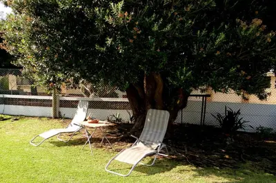 two chairs and a table under a tree at Our Nest Guest House in Kleinmond