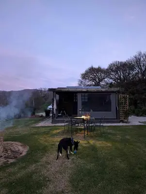 a dog standing in the grass in front of a cabin at Babylons Tower Shepherds Hut in Mosselrivier