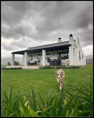 a dog standing in the grass in front of a house at Babylons Tower Cottage in Caledon
