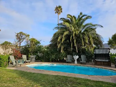 a swimming pool with chairs and a palm tree at Studio on Main in Hermanus