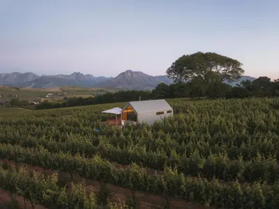 a farm with a greenhouse in the middle of a vineyard at Stellenbosch Farm Cabin - Klein Frans in Stellenbosch