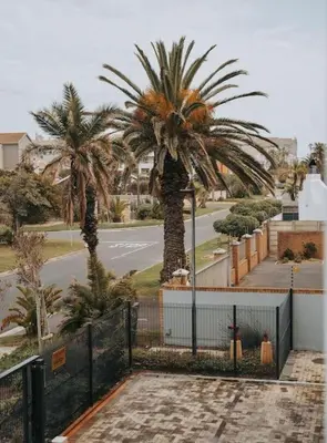two palm trees behind a fence on a street at Calm Blouberg Beach Apt - Gated & Lift Access in Cape Town