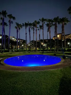 a large blue pool with palm trees at night at SS Luxury Apartments Island Club in Cape Town