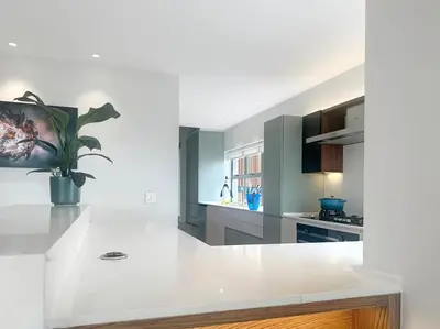 a white kitchen with a plant on a counter at Oceanique in Hermanus