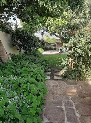 a stone path in a garden with plants at Klein La Cotte Garden Cottage in Franschhoek