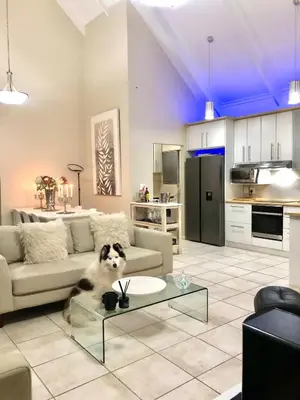 a dog sitting on a table in a living room at #SilverSands Coastal Retreat in Betty's Bay in Bettyʼs Bay