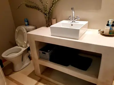 a bathroom with a sink and a toilet at Eight on Tuin in Franschhoek