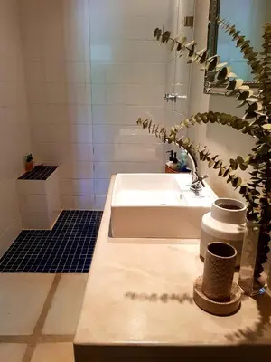 a bathroom with a sink and a plant on a counter at Eight on Tuin in Franschhoek