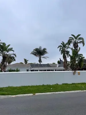 a white wall next to a street with palm trees at Zoe & Saint in Cape Town