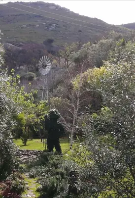 a person walking down a trail with a windmill in the background at The GOAT shed in Paarl