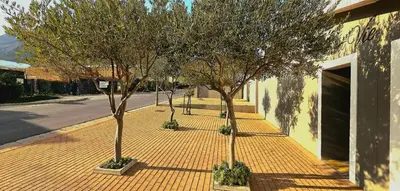 a row of trees on a sidewalk next to a building at C'est la Vie 6 Standard Apartment in Franschhoek