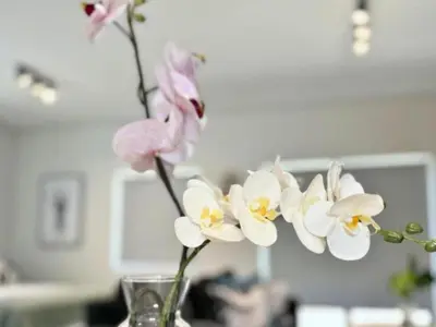a vase with white and pink flowers in it at Obs Centre Twin Peaks in Cape Town