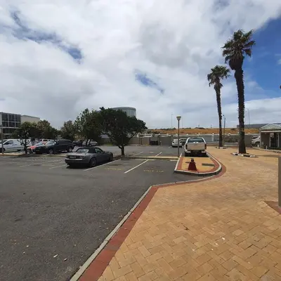 a parking lot with parked cars and palm trees at 215 Sea View in Cape Town