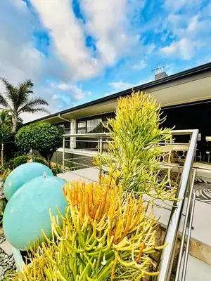 a group of plants in front of a building at Bonita Vista Plattekloof in Cape Town