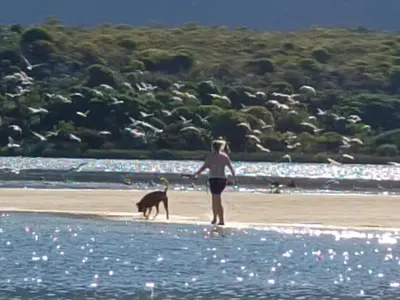 a woman walking a dog on the beach at Scenic Bliss Holiday Home in Kleinmond