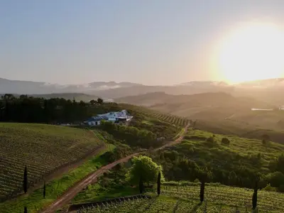 a vineyard in the hills with a house and a road at Spioenkop Wines Farm House in Elgin