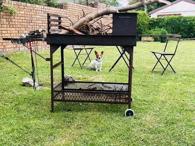 a dog sitting in the grass next to a bird house at 9de Laan Kleinmond in Kleinmond