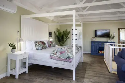 a bedroom with a white canopy bed and a tv at Fisherhaven in Hermanus