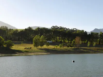 a lake with a group of horses in the distance at Diemersfontein Wine & Country Estate in Wellington