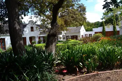 a white house with a tree and some plants at Lovely Family Home in the Winelands in Cape Town
