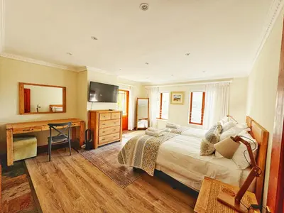 a bedroom with a bed and a desk and a television at Sea 'n Summit Hermanus in Hermanus