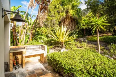 a garden with a stone fireplace and palm trees at Sea 'n Summit Hermanus in Hermanus