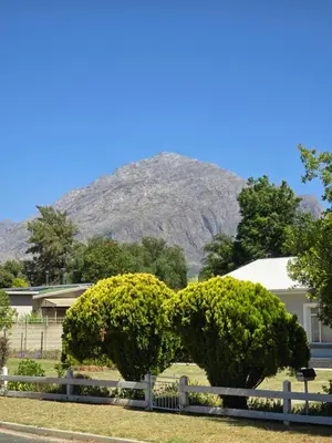 a bush shaped like a bear in front of a house at Watershed Self-Catering in Wolseley