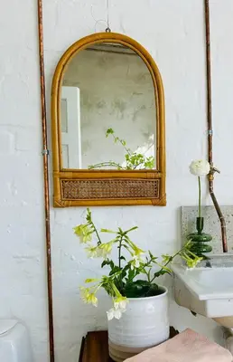a bathroom with a mirror and a potted plant at Stellenbosch Farm Studio Apartment in Penhill