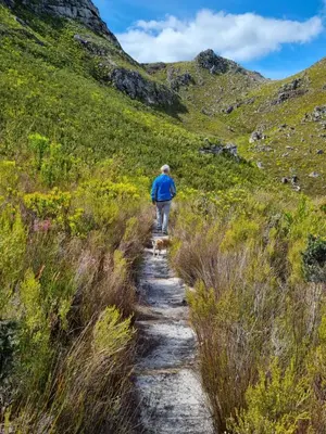 a person walking a dog on a trail at OceansCrest Seaview Apartment in Bettyʼs Bay