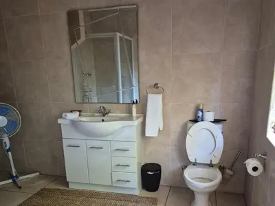 a bathroom with a sink and a toilet and a mirror at Afton Safari Lodge in Cape Town
